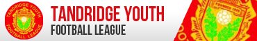 Tandridge Youth Football League
